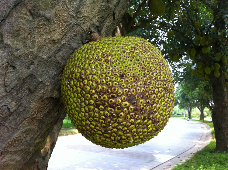 2011年07月22日 - 小鱼滋味 - 小鱼滋味