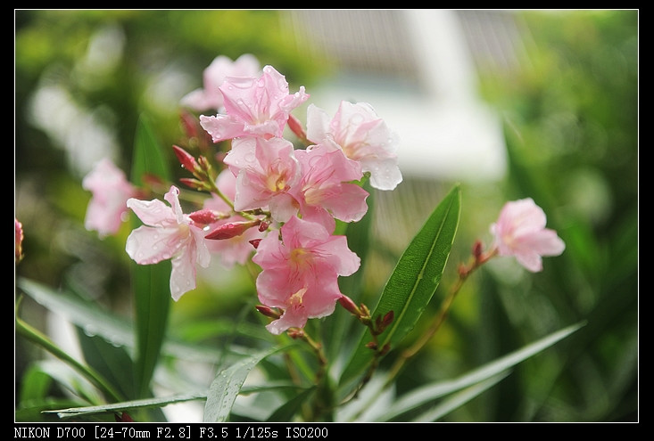 2011年05月23日 - 小鱼滋味 - 小鱼滋味