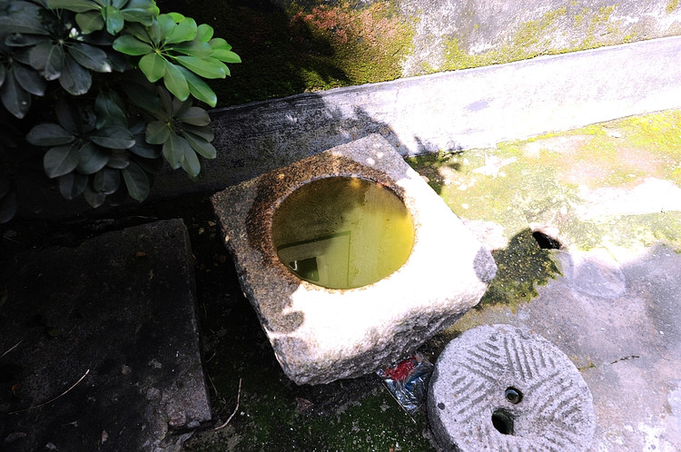 2011年07月02日 - 小鱼滋味 - 小鱼滋味 2011年07月02日 - 小鱼滋味 - 小鱼滋味