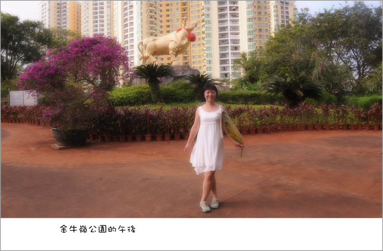 十月的海口,午后的金牛岭公园 - 小鱼滋味 - 小鱼滋味 十月的海口,午后的金牛岭公园 - 小鱼滋味 - 小鱼滋味