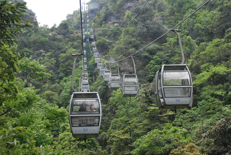 红色井冈山 - 小鱼滋味 - 小鱼滋味