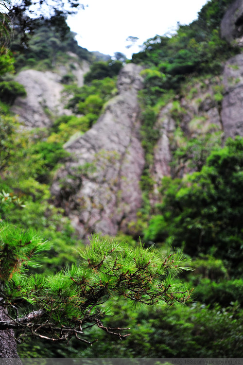 【忘记带宝宝的长假旅行】三清山景色，可与黄山媲美 - 小鱼滋味 - 小鱼滋味