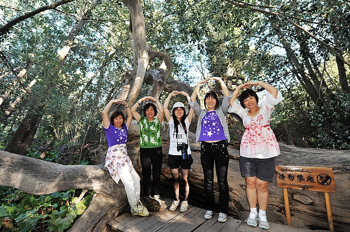 在那遥远的地方（之十 库车老城－库车王府－大清真寺－天山神木园－阿克苏） - 小鱼滋味 - 小鱼滋味