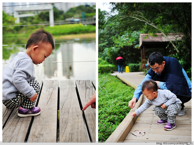 香港湿地公园 - 小鱼滋味 - 小鱼滋味
