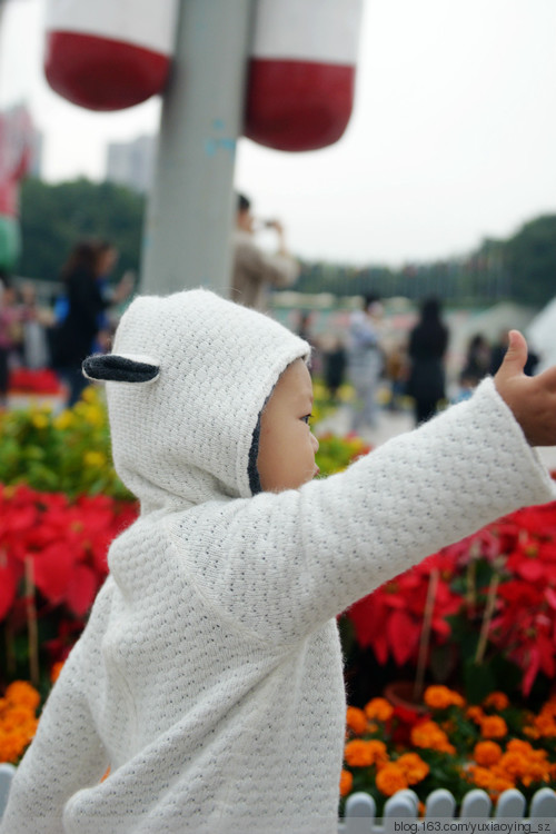 圣诞节前的小小鸡蛋妹 - 小鱼滋味 - 小鱼滋味