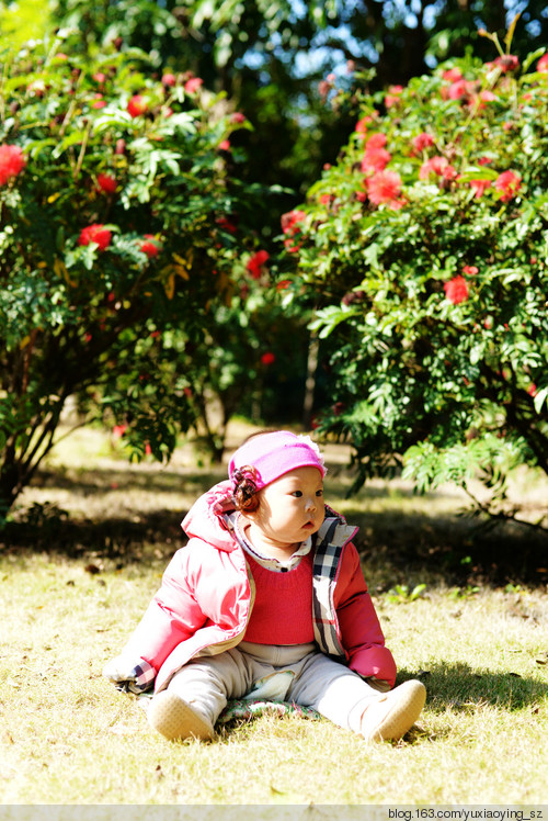 2015年01月14日 - 小鱼滋味 - 小鱼滋味