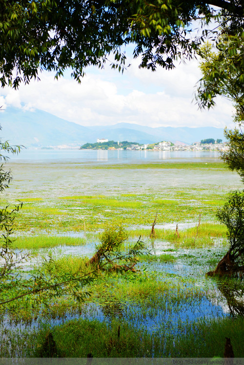 【一路向西去大理】 苍洱美景在挖色，无尽浪漫 - 小鱼滋味 - 小鱼滋味