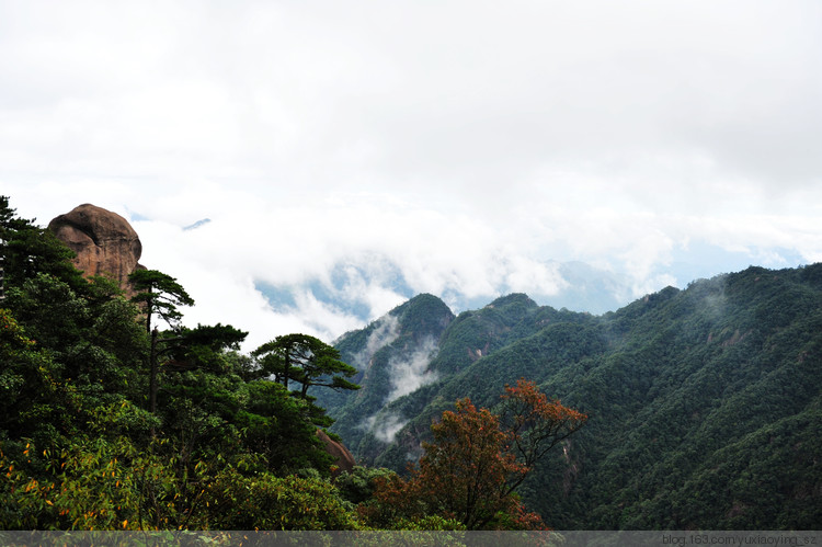 【忘记带宝宝的长假旅行】三清山景色，可与黄山媲美 - 小鱼滋味 - 小鱼滋味