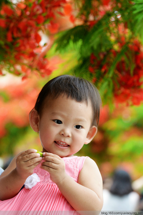 花开时节动鹏城 - 小鱼滋味 - 小鱼滋味 花开时节动鹏城 - 小鱼滋味 - 小鱼滋味