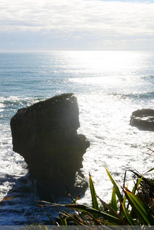 【无关谁的秋】行驶在美丽的西海岸，感受新西兰另一种角度的美 - 小鱼滋味 - 小鱼滋味