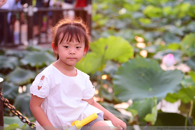 【深圳 · 洪湖公园】 花拆，蓦然夏中 - 小鱼滋味 - 小鱼滋味