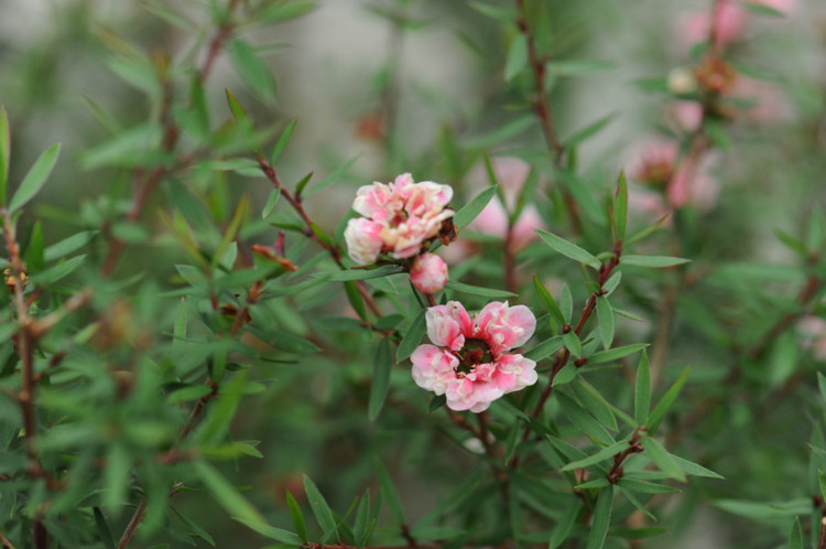 广州·华南植物园 - 小鱼滋味 - 小鱼滋味