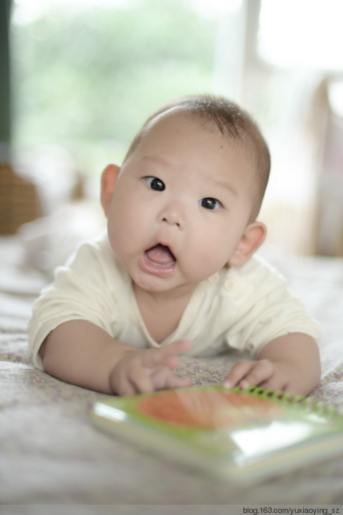 2014年11月05日 - 小鱼滋味 - 小鱼滋味