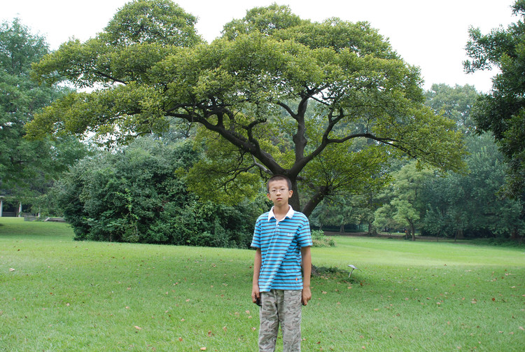 【小宽在长大】十 小学的最后一年 - 小鱼滋味 - 小鱼滋味 【小宽在长大】十 小学的最后一年 - 小鱼滋味 - 小鱼滋味