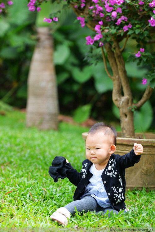 市花丛中的小衣襟 - 小鱼滋味 - 小鱼滋味