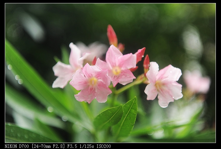 2011年05月23日 - 小鱼滋味 - 小鱼滋味