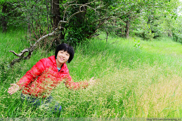 【走进加拿大的冰冻の 夏】 雨中班芙没景，转场卡尔加里 - 小鱼滋味 - 小鱼滋味