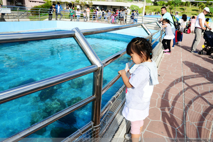 【二入瀛洲】 冲绳岛一天，游万座毛、古宇利大桥、水族馆，吃美味豚肉 - 小鱼滋味 - 小鱼滋味