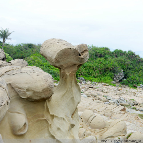 【带着宝宝去旅行】 台湾 · 东海岸 - 小鱼滋味 - 小鱼滋味