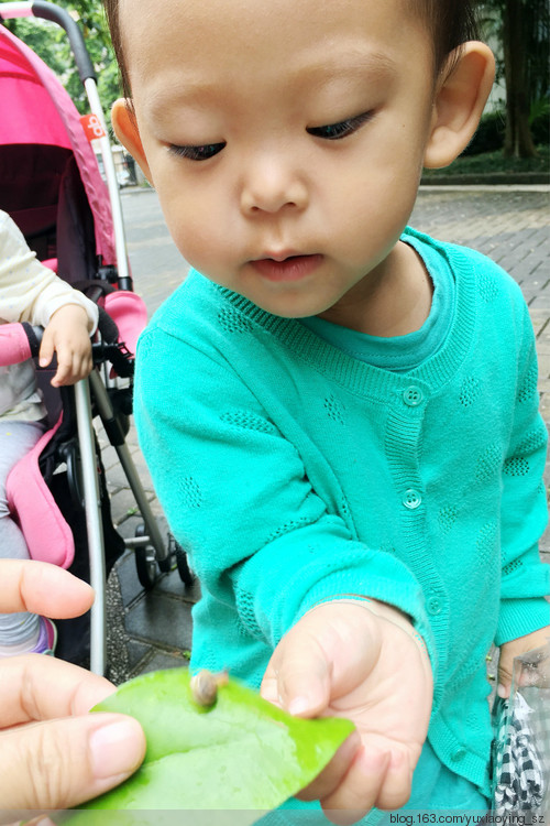 小蜗牛,让我带着你回家 - 小鱼滋味 - 小鱼滋味 小蜗牛,让我带着你回家 - 小鱼滋味 - 小鱼滋味