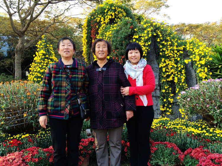 【深圳东湖公园】 菊花 - 小鱼滋味 - 小鱼滋味