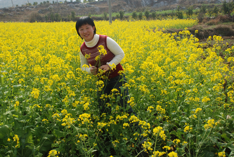 【2007春节湖南行】 之三 游凤凰古城及周边，夜宿芙蓉镇 - 小鱼滋味 - 小鱼滋味