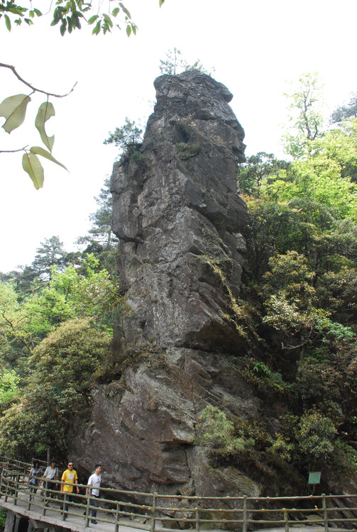 红色井冈山 - 小鱼滋味 - 小鱼滋味