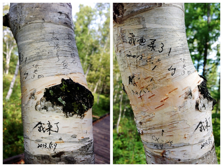 【陪你一起看草原】十三 三潭峡 - 小鱼滋味 - 小鱼滋味 【陪你一起看草原】十三 三潭峡 - 小鱼滋味 - 小鱼滋味
