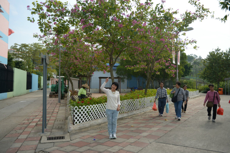 【香港】 生日那天,我们去了长洲岛 - 小鱼滋味 - 小鱼滋味 【香港】 生日那天,我们去了长洲岛 - 小鱼滋味 - 小鱼滋味