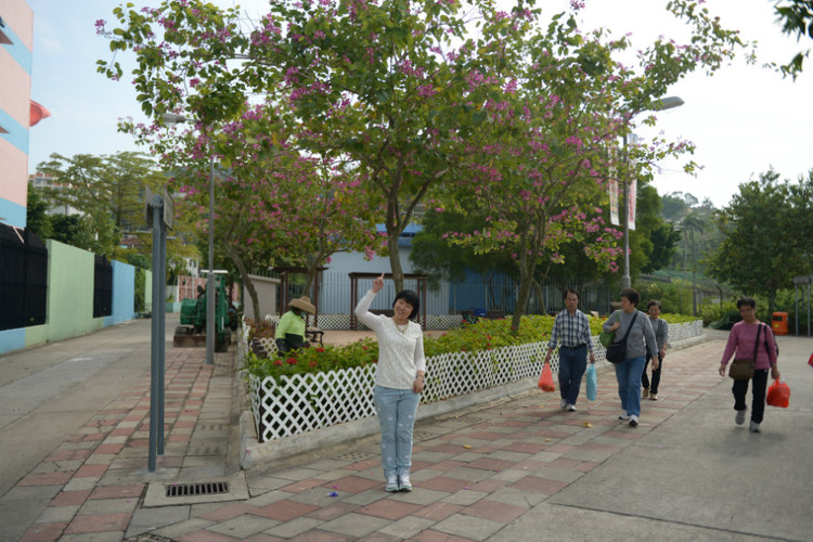 【香港】 生日那天，我们去了长洲岛 - 小鱼滋味 - 小鱼滋味