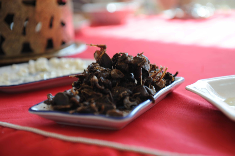 2009,印象河北(之七 清东陵) - 小鱼滋味 - 小鱼滋味 2009,印象河北(之七 清东陵) - 小鱼滋味 - 小鱼滋味