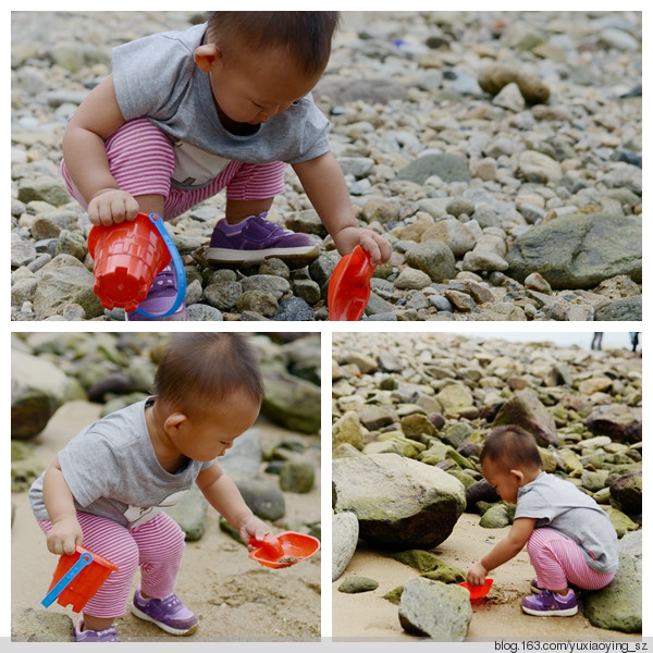 2015年11月10日 - 小鱼滋味 - 小鱼滋味