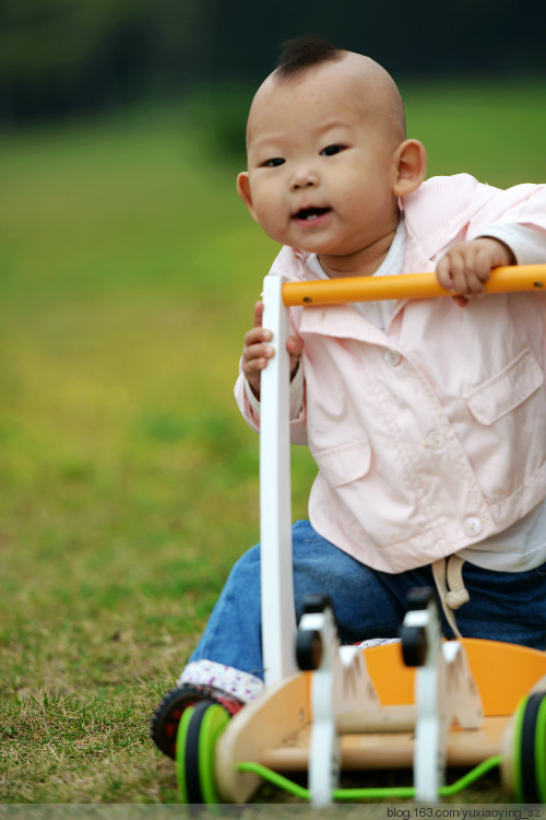 让我们踏青去 - 小鱼滋味 - 小鱼滋味