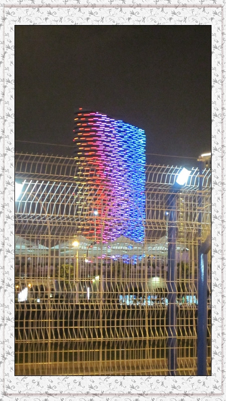 参观上海世博会(一) - 小鱼滋味 - 小鱼滋味 参观上海世博会(一) - 小鱼滋味 - 小鱼滋味