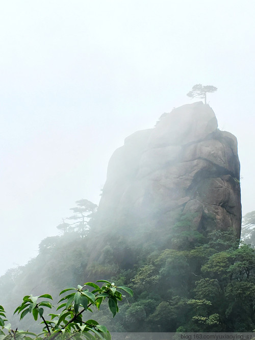 【忘记带宝宝的长假旅行】三清山景色，可与黄山媲美 - 小鱼滋味 - 小鱼滋味