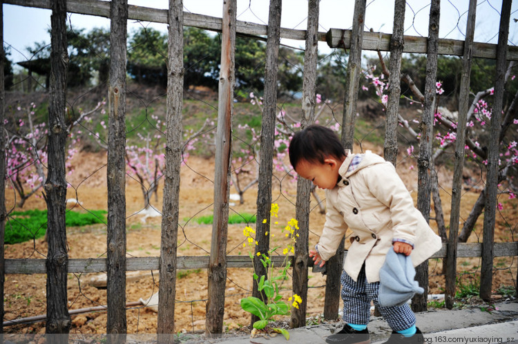 【无锡】阳山桃花 - 小鱼滋味 - 小鱼滋味