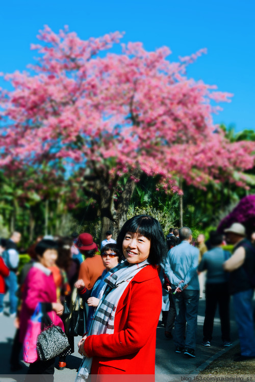 繁花似锦 · 生日快乐 - 小鱼滋味 - 小鱼滋味