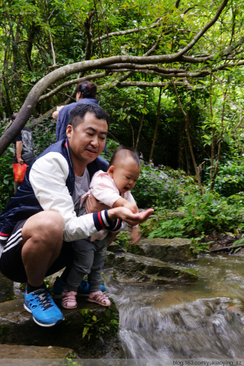 【带着宝宝去旅行】 贵州 · 荔波 小七孔 - 小鱼滋味 - 小鱼滋味