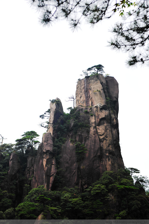 【忘记带宝宝的长假旅行】三清山景色，可与黄山媲美 - 小鱼滋味 - 小鱼滋味