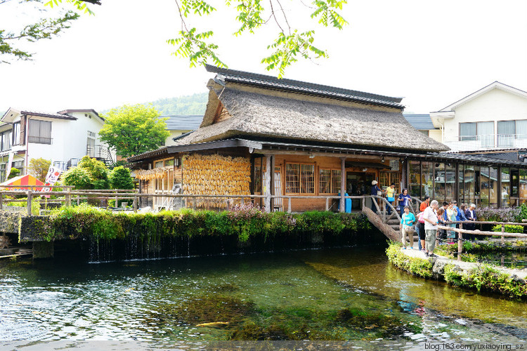 【烟波浩淼之瀛洲】逛奥特莱斯，山中湖喂鱼，游忍野八海，抵富士山五合目，宿河口湖班乡间别墅酒店 - 小鱼滋味 - 小鱼滋味