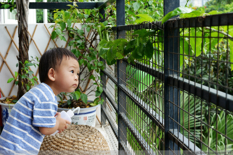 小蜗牛，让我带着你回家 - 小鱼滋味 - 小鱼滋味