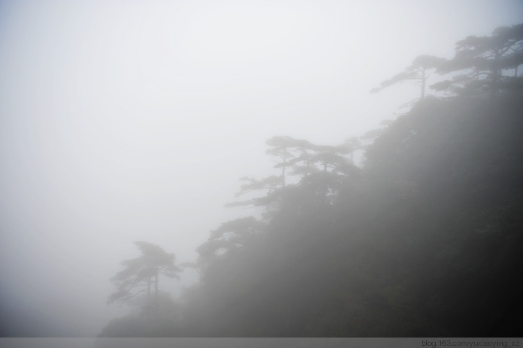 【忘记带宝宝的长假旅行】三清山景色，可与黄山媲美 - 小鱼滋味 - 小鱼滋味