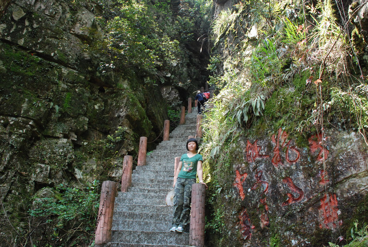 红色井冈山 - 小鱼滋味 - 小鱼滋味