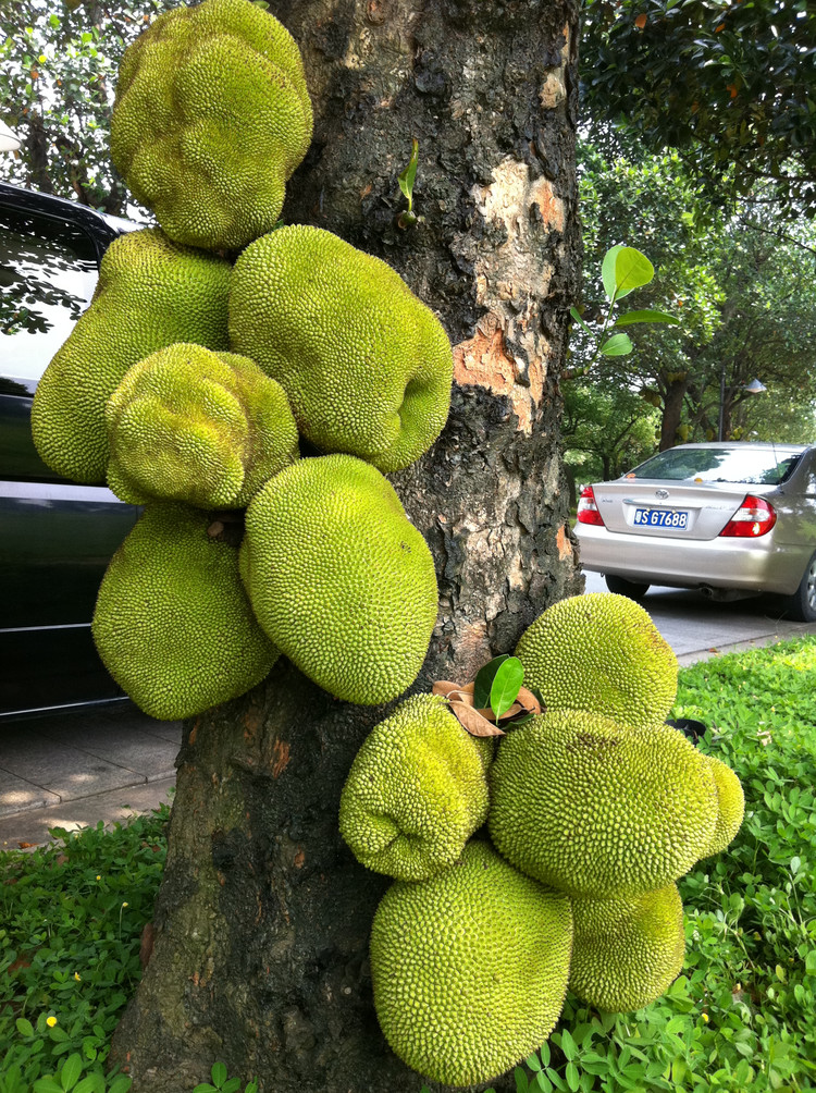 2011年07月22日 - 小鱼滋味 - 小鱼滋味