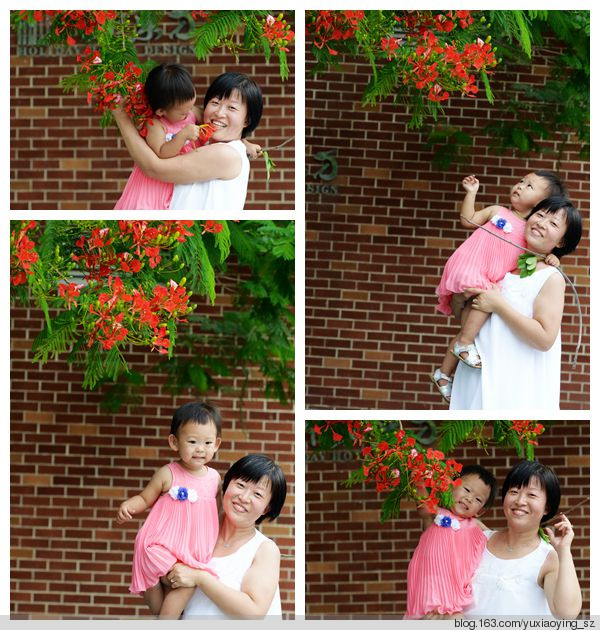 花开时节动鹏城 - 小鱼滋味 - 小鱼滋味 花开时节动鹏城 - 小鱼滋味 - 小鱼滋味