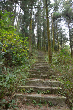 坐高铁，游南岳衡山 - 小鱼滋味 - 小鱼滋味