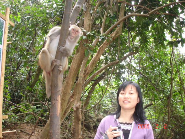 【2006春节广西行】之五 大新--南宁，歪打正着龙虎山 - 小鱼滋味 - 小鱼滋味