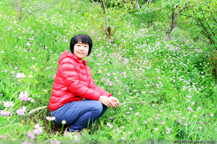 【走进加拿大的冰冻の 夏】 雨中班芙没景，转场卡尔加里 - 小鱼滋味 - 小鱼滋味