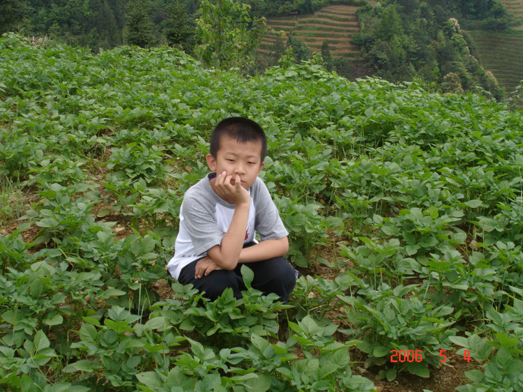 小宽在长大（之六 三年级小学生） - 小鱼滋味 - 小鱼滋味