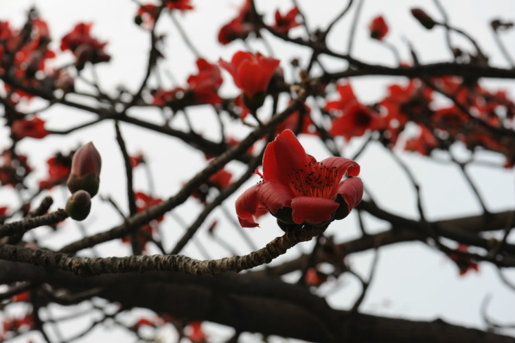 2012年03月20日 - 小鱼滋味 - 小鱼滋味